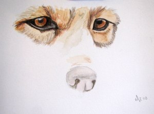 4911059639_1ec9e47874_o