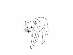 5546573290_03b6967480_o